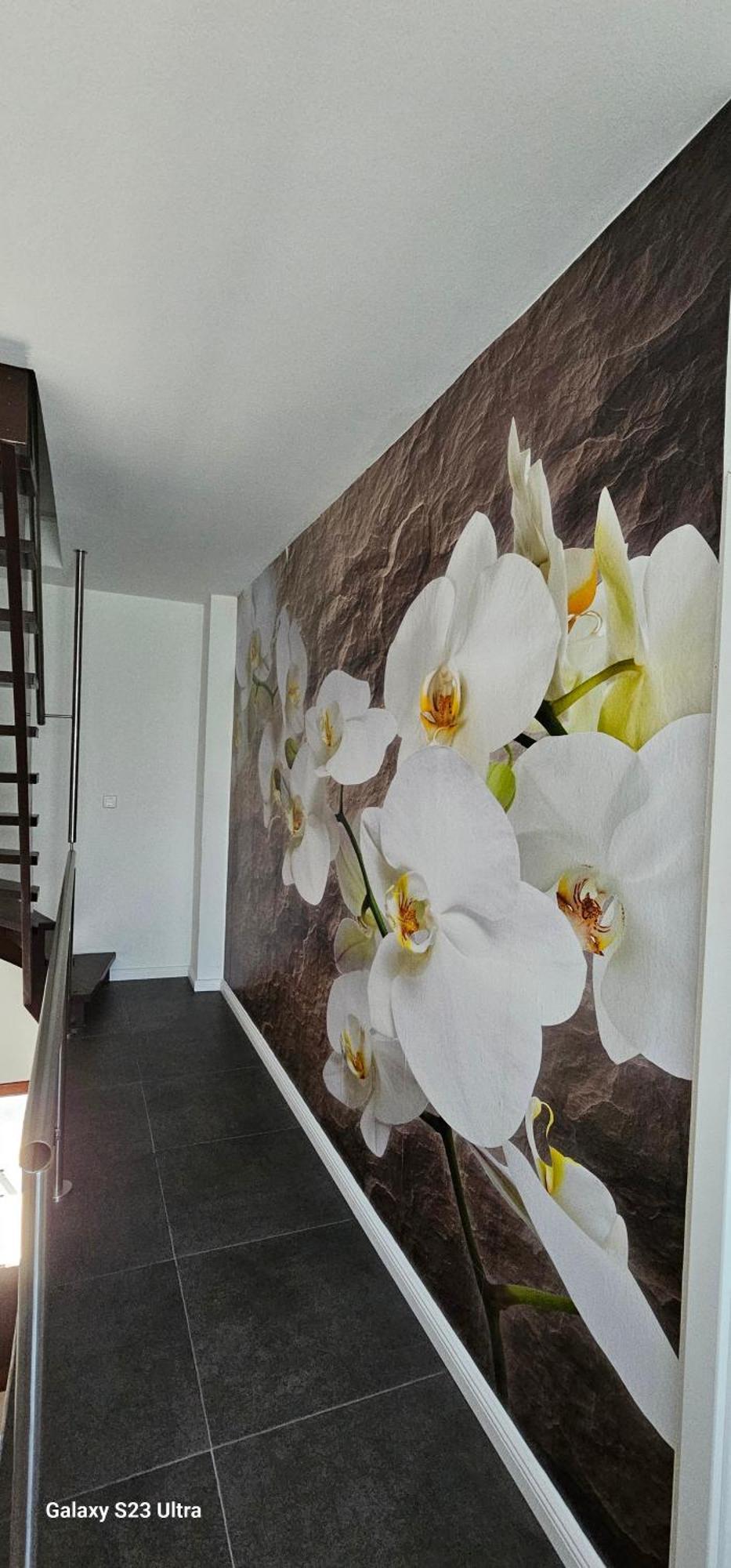 Gaestehaus Orchidee Hoya Exterior foto